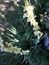 User post image