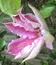 User post image