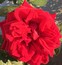User post image