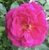 User post image