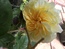 User post image