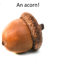 User post image