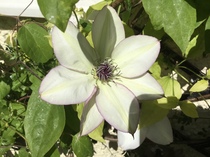 User post image
