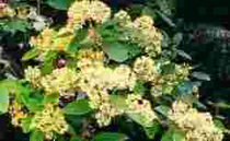 User post image