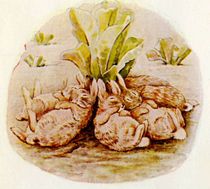 User post image
