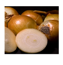 User post image