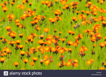 User post image