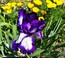 User post image