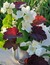 User post image