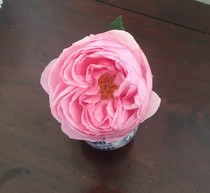 User post image