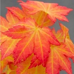 User post image