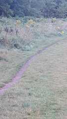 User post image