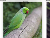 User post image