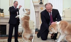 User post image