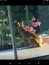 User post image