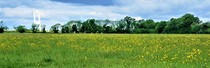 User post image