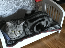 User post image
