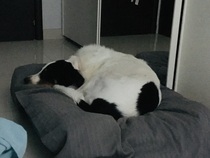 User post image