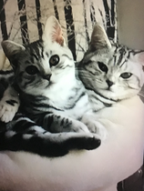 User post image