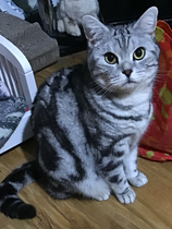 User post image