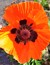 User post image