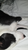 User post image