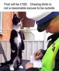User post image