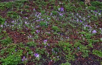 User post image