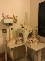 User post image