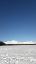 User post image