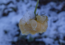 User post image