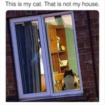 User post image