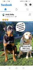 User post image