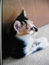 User post image