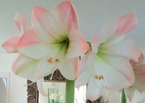 User post image