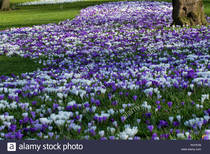 User post image