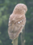 User post image