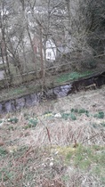 User post image