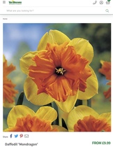 User post image