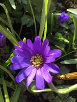 User post image