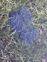 User post image