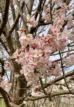 User post image