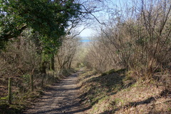 User post image