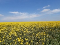 User post image