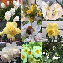User post image