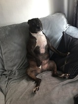 User post image