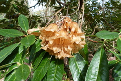 User post image