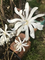 User post image