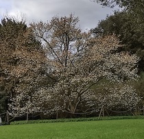 User post image