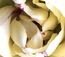 User post image
